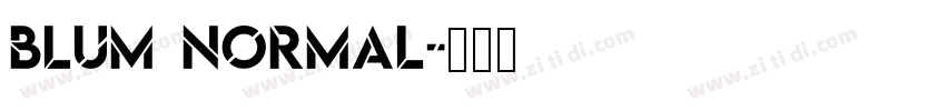 Blum Normal字体转换